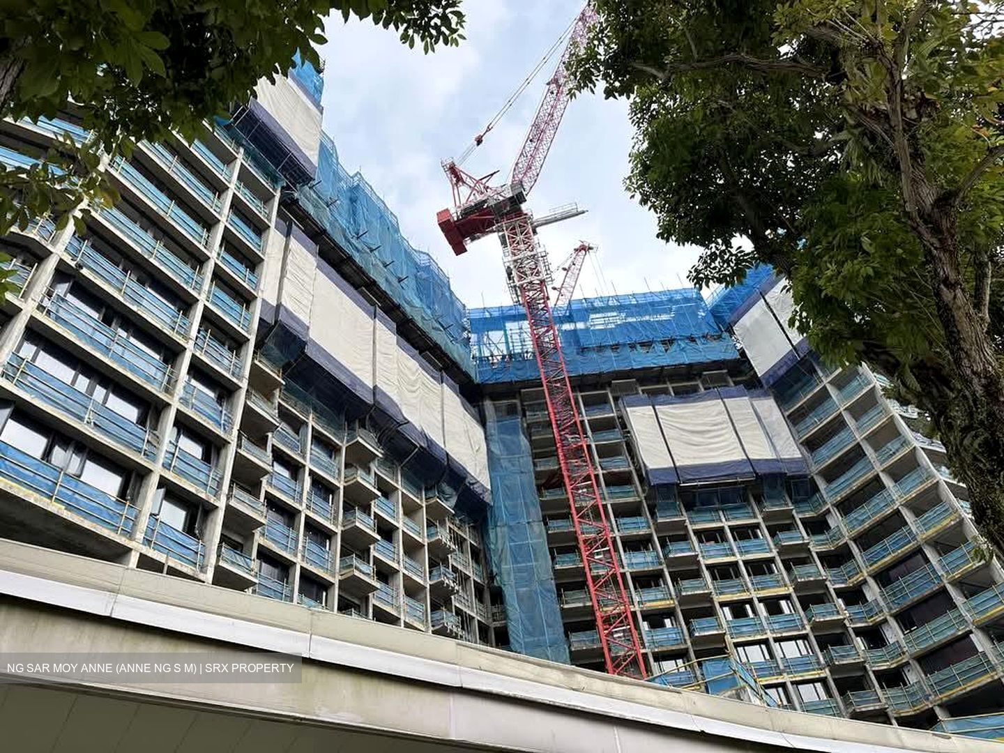 The Reserve Residences (D21), Apartment #560504591